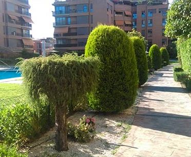 Arce Medioambiental S.L. jardineria 10